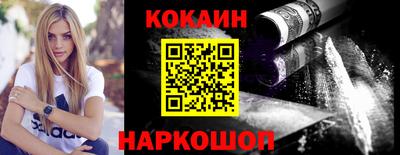 крисы Гатчина
