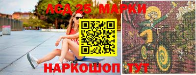 крисы Гатчина