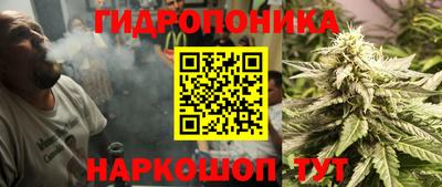 крисы Гатчина