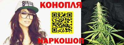 крисы Гатчина