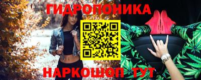 гашик Гай