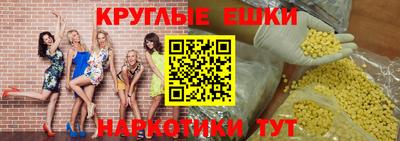 гашик Гай