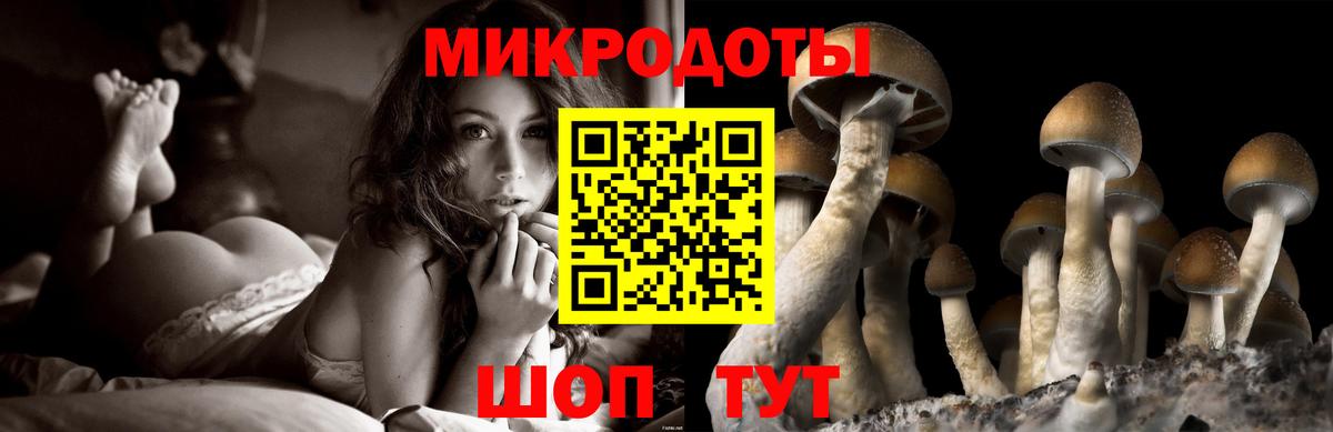 Заводоуковск  Псилоцибиновые грибы прущие грибы  Вход с VPN 