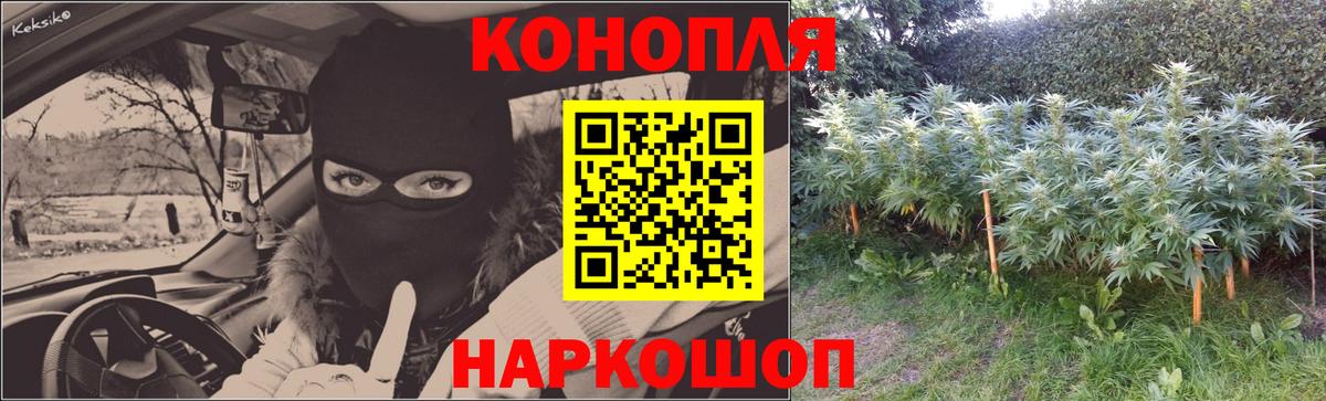 Канабис VHQ  Марихуана марихуана  Канабис семена  Заводоуковск  Вход с VPN 